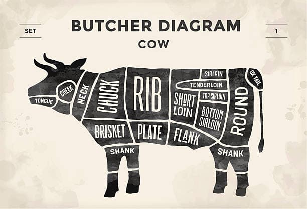 picture depicts different cuts of beef from a single cow